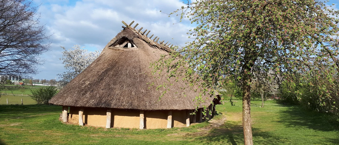 Gereconstrueerd langhuis uit de steentijd op een groene weide, omringd door bomen.