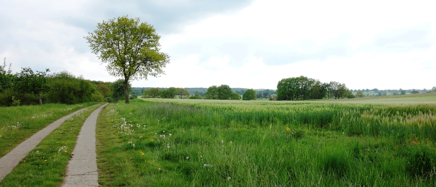 Ratzeburger Umland