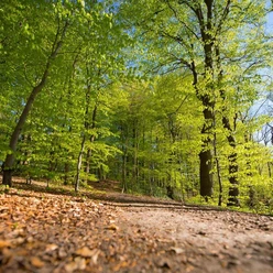 Gendarmenpfad