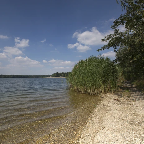 Albrechtshainer-See-Leipzig-Region-Auszeit-Ufer-Natur-Thomas-Bichler-Leipzig-Travel.jpg
