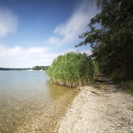 Ufer des Albrechtshainer Sees - Auszeit in der Region Leipzig