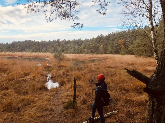Eine Wanderin blickt in die Weite des herbstlichen Heilsmoores.A hiker gazes into the expanse of the autumnal Heilsmoor.En vandrer kigger ud over det efterårsagtige Heilsmoor.Een wandelaar kijkt uit over de uitgestrektheid van de herfstige Heilsmoor.