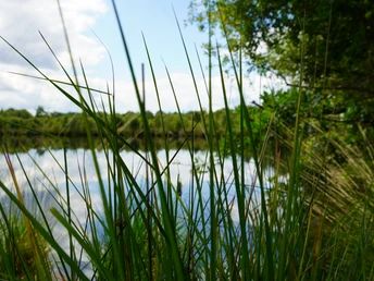 Moorsee im Hambeger Moor