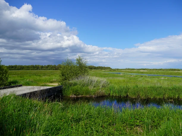 Uitzicht op de laagvlakte van Hammen met weilanden en een helderblauwe lucht aan de rechterkant, maar donkere wolken komen vanaf de linkerkant van de foto.