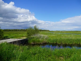 Weite der Hammeniederung Blick in die Hammeniederung mit Wiesen und auf der rechten seite strahlend bleuen Himmel, von der linken Bildseite kommen jedoch dunkle Wolken.