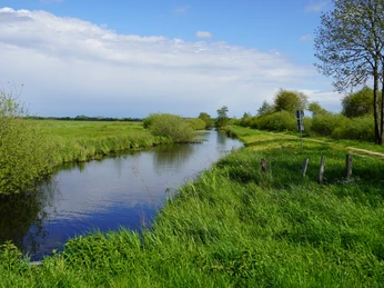 Wasserläufe in der Hammeniederung