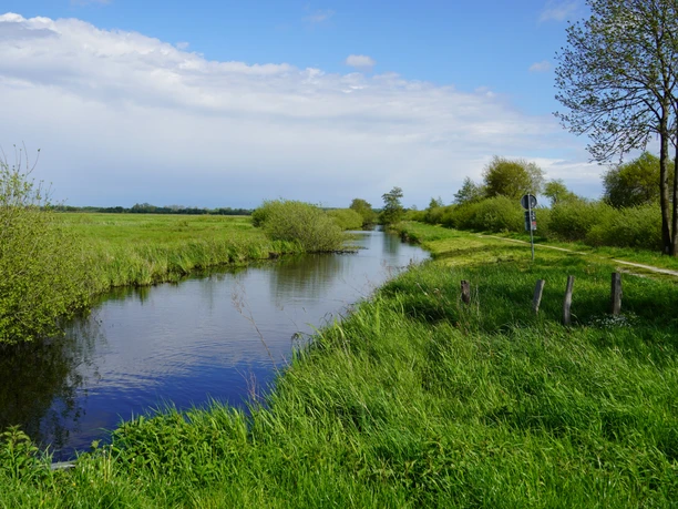Wasserläufe in der Hammeniederung