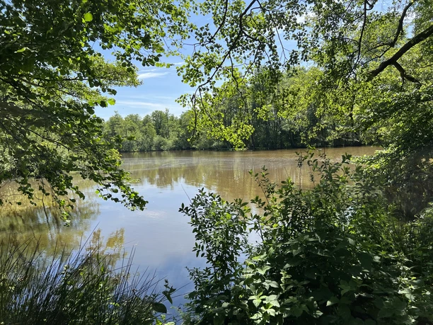Mühlenteich in Meyenburg