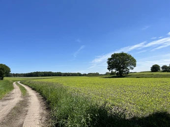 Weite rund um Meyenburg