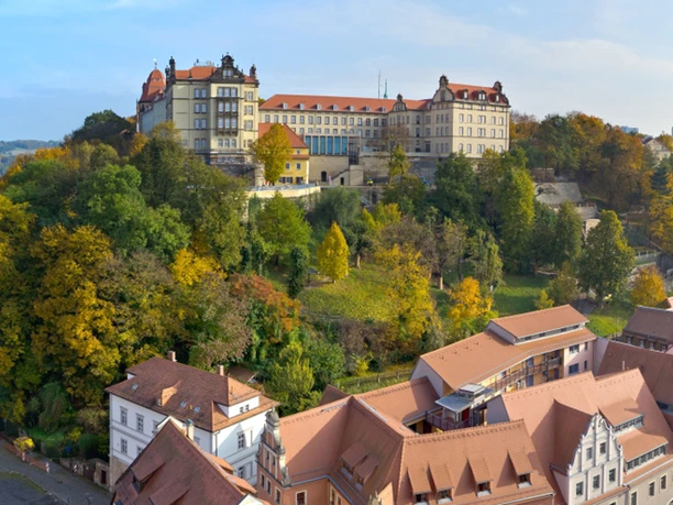 Sonnenstein Castle on a wooded hill with autumn-colored trees, red-tiled roofs and historic buildings in the foreground.