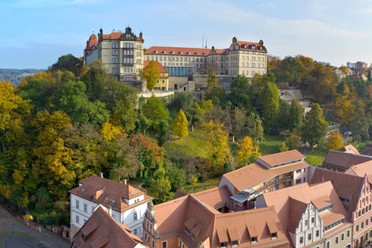 Pirna Schloss Sonnenstein Schloss Sonnenstein auf einem bewaldeten Hügel mit herbstlich gefärbten Bäumen, im Vordergrund rote Ziegeldächer und historische Gebäude.
