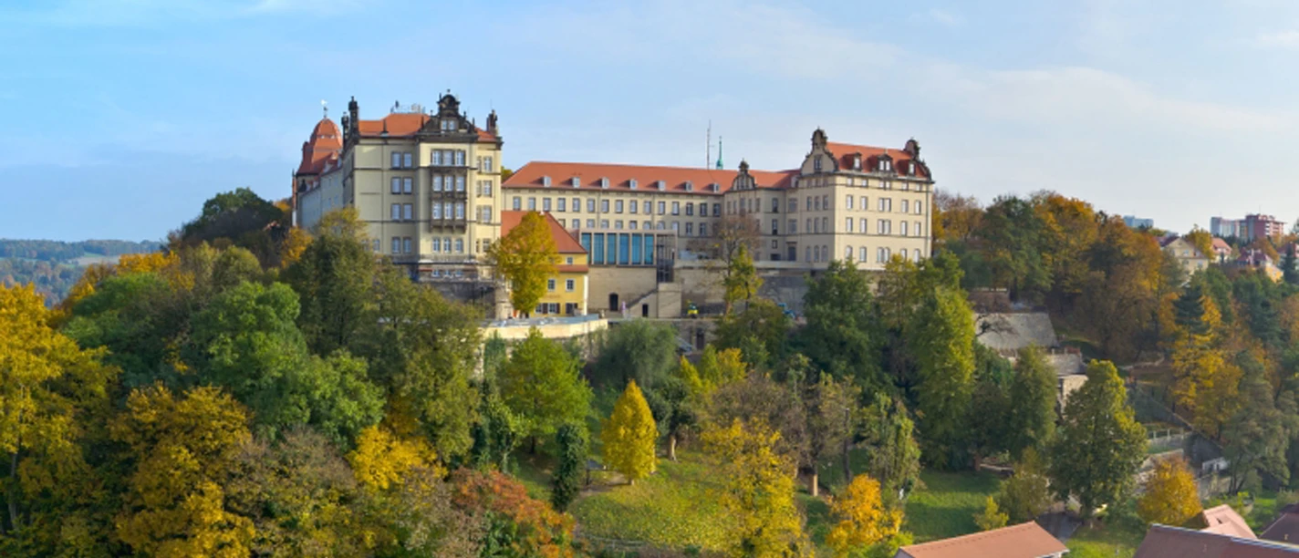 Pirna Schloss Sonnenstein Schloss Sonnenstein auf einem bewaldeten Hügel mit herbstlich gefärbten Bäumen, im Vordergrund rote Ziegeldächer und historische Gebäude.