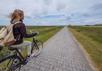 Fahrrad-Bill-Juist.jpg Fahrrad-Bill-Juist