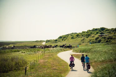 Fahrrad-Juist.jpg Fahrrad-Juist