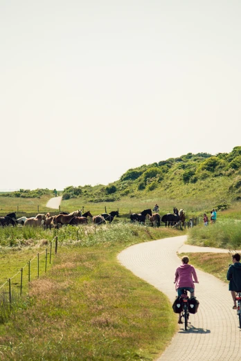 Fahrrad-Juist.jpg Fahrrad-Juist