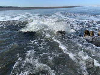 priele-und-austern-wattwanderung-watt-nordseeheilbad-cuxhaven.jpg