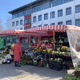 wochenmarkt-bad-zwischenahn-stand.jpg Ein Marktstand auf dem Wochenmarkt Bad Zwischenahn bietet unter einem roten, gestreiften Vordach eine Vielfalt an bunten Blumen und Pflanzen an. Im Vordergrund ist eine Kundin in rotem Mantel zu sehen, die Ware begutachtet, während ein weiteres Zelt im Hintergrund steht.