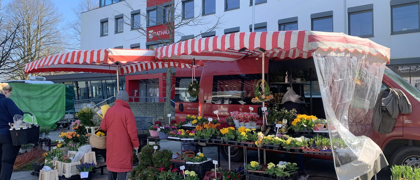 wochenmarkt-bad-zwischenahn-stand.jpg Ein Marktstand auf dem Wochenmarkt Bad Zwischenahn bietet unter einem roten, gestreiften Vordach eine Vielfalt an bunten Blumen und Pflanzen an. Im Vordergrund ist eine Kundin in rotem Mantel zu sehen, die Ware begutachtet, während ein weiteres Zelt im Hintergrund steht.