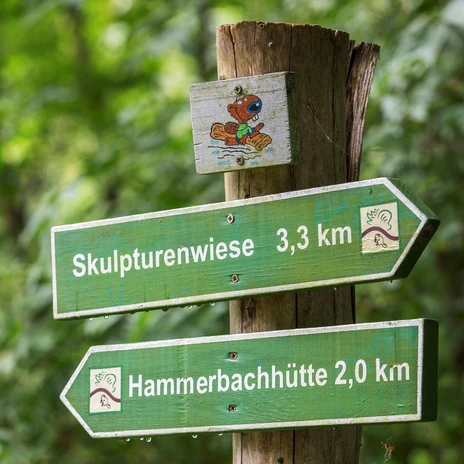 Signposts in the Düben Heath, beaver, nature