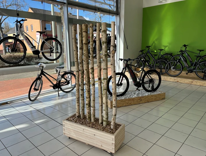 Schlesner Bikes Moderne Fahrräder in einem lichtdurchfluteten Geschäft mit großen Schaufenstern und Holzakzenten.