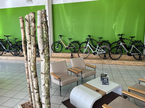 Schlesner Bikes Ein heller Verkaufsraum mit modernen Fahrrädern, grüner Wand und stilvoller Sitzgelegenheit im Vordergrund.