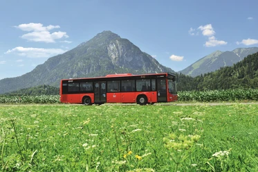 RVO Bus