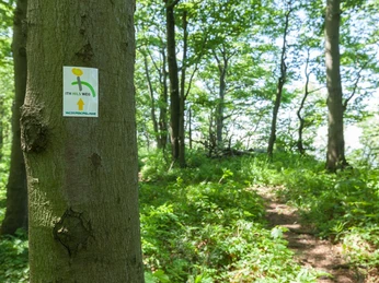 Wegemarkierungszeichen ©GeTour GmbH.jpg