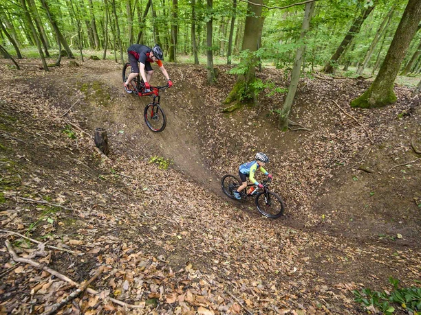 Auf dem Mountainbike durch den Wald