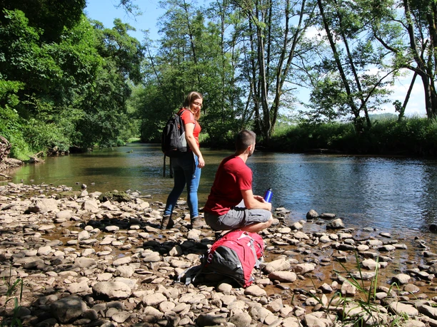 Traumschleife Weg des Wassers