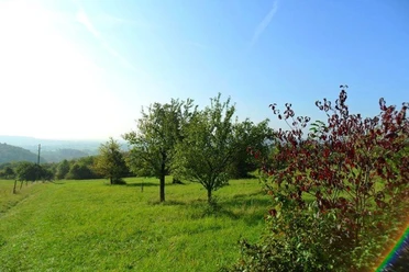 Talblick