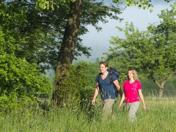 Streuobstwiesen am Felsenweg