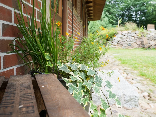 Garten vom Stimbekhof Garten vom Stimbekhof
