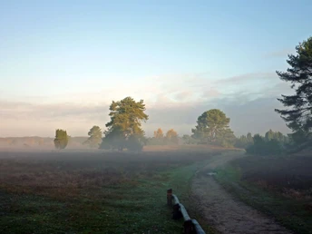 haltern-westruper-heide