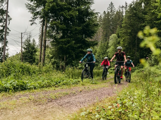 Freizeitexpress Nationalparktour