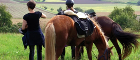 Kinder auf der Pferdekoppel