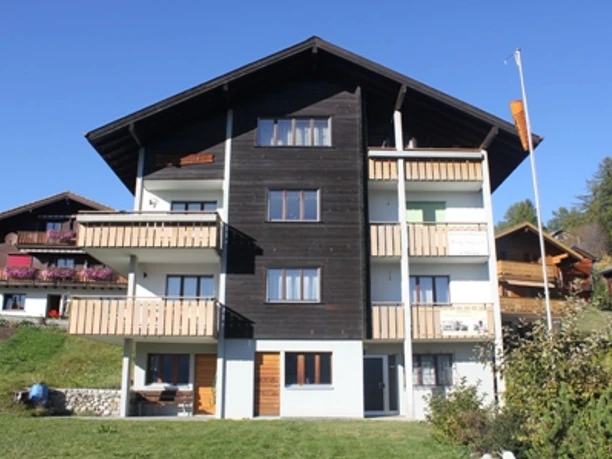 Soldanella_2.JPG