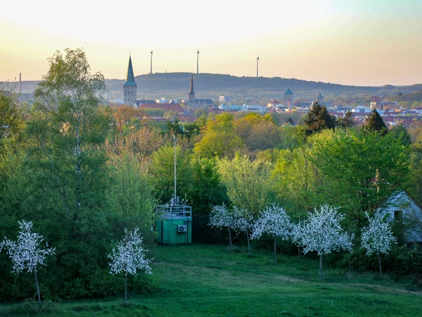 Grüne Finger Berningshöhe