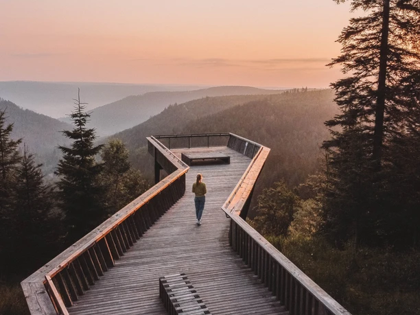Themenfuehrungen Gefuehrte Wanderungen Freudenstadt Tourismus Ellbachseeblick Themenfuehrungen Gefuehrte Wanderungen Freudenstadt Tourismus Ellbachseeblick