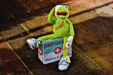 VA-Erste-Hilfe-Kids-Kermit.jpg