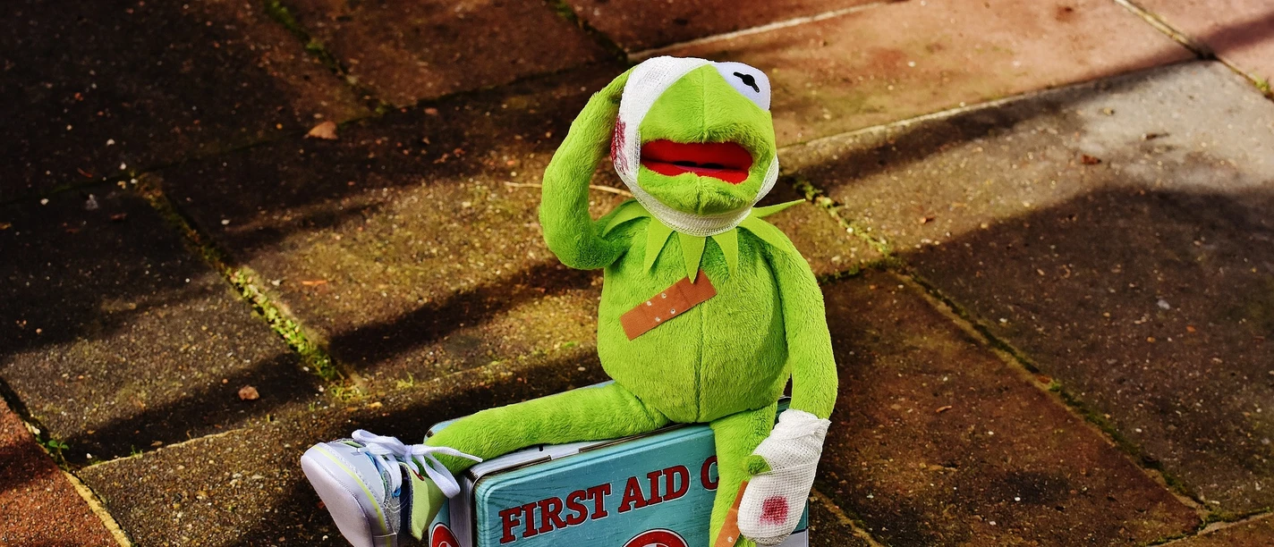 VA-Erste-Hilfe-Kids-Kermit.jpg