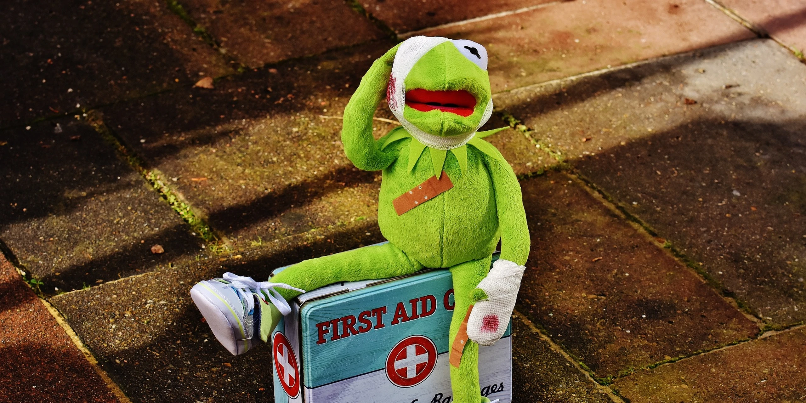 VA-Erste-Hilfe-Kids-Kermit.jpg