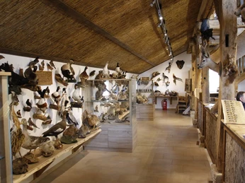 Naturkundehaus Lähden, Türöffner-Tour 2016 ©Emsland Tourismus GmbH (3).JPG