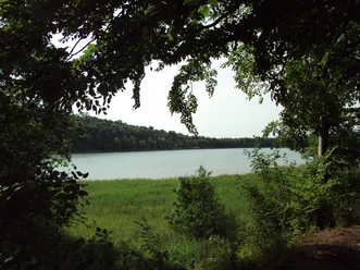 Reihersee Salzgitter-Gebhardshagen im Höhenzug Salzgitter im Sommer