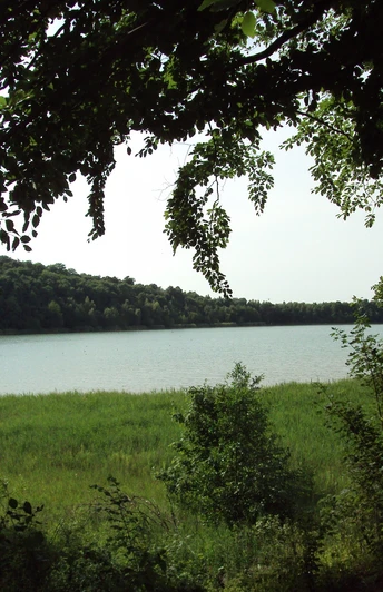 Reihersee Salzgitter-Gebhardshagen im Höhenzug Salzgitter im Sommer
