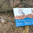 Weg zur Wildnis Ein Schild im Wald zeigt einen Eichelhäher und ein Eichhörnchen mit Eicheln, umgeben von Laub und Ästen auf dem Waldboden.