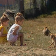 Affen- und Vogelpark Zwei Kinder beobachten neugierig Affen auf einer grasbewachsenen Wiese bei sonnigem Wetter.