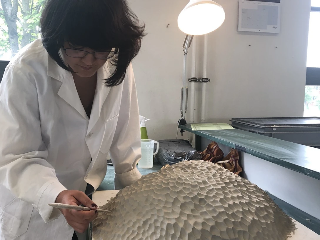 HPM Höchster Porzellan Manufaktur