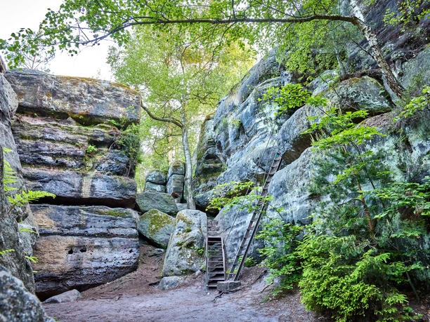 Fotos Stadt Bad Gottleuba - Berggießhübel