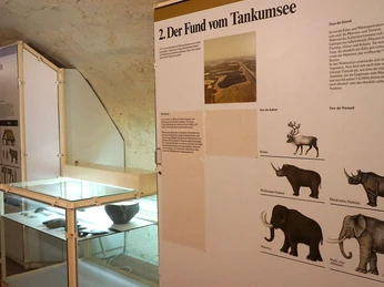 museum-schloss-gifhorn-steinzeitliche-tiere-beate-ziehres.jpg