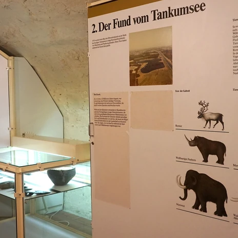 museum-schloss-gifhorn-steinzeitliche-tiere-beate-ziehres.jpg